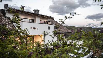 Pippo's Mountain Lodge