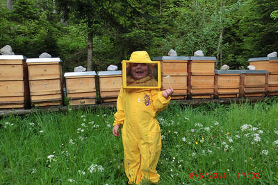 Jungimkerin Sabrina Christen bei der Honigernte im Naturschutzgebiet Wilder Kaiser